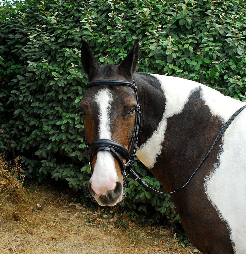 Windsor Leather Comfort Bridle image 1