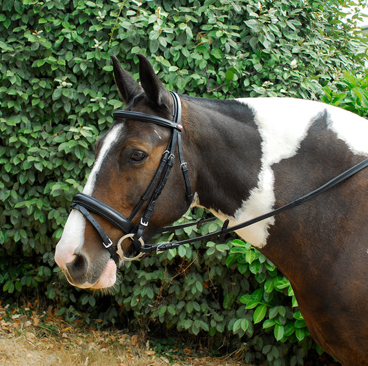 Windsor Leather Comfort Bridle image 0