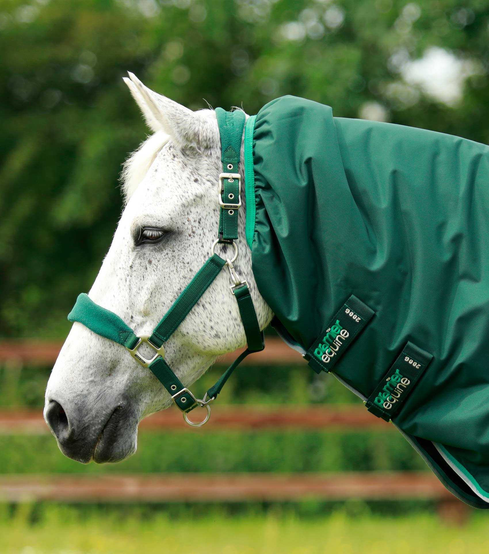 Premier Equine Buster 200g Turnout Rug with Snug-Fit Neck Cover image 12