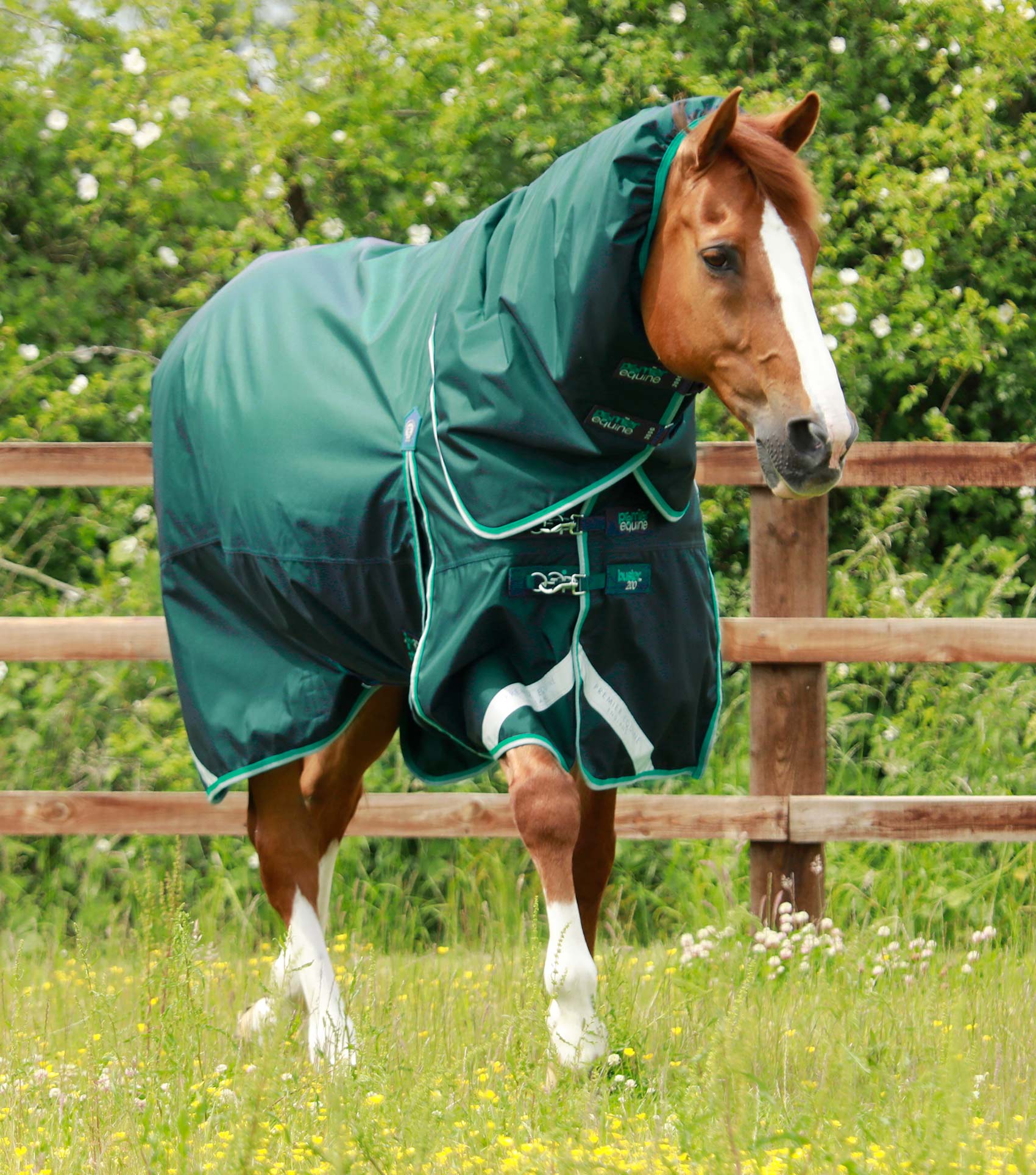 Premier Equine Buster 200g Turnout Rug with Snug-Fit Neck Cover image 13