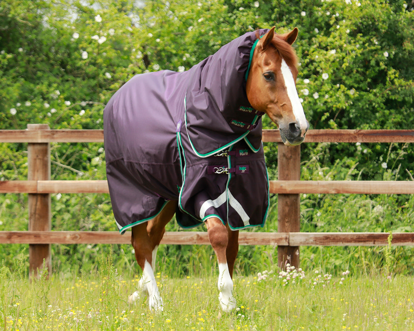 Premier Equine Buster 200g Turnout Rug with Snug-Fit Neck Cover image 0