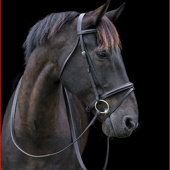 Cameo Classic Bridle With Reins