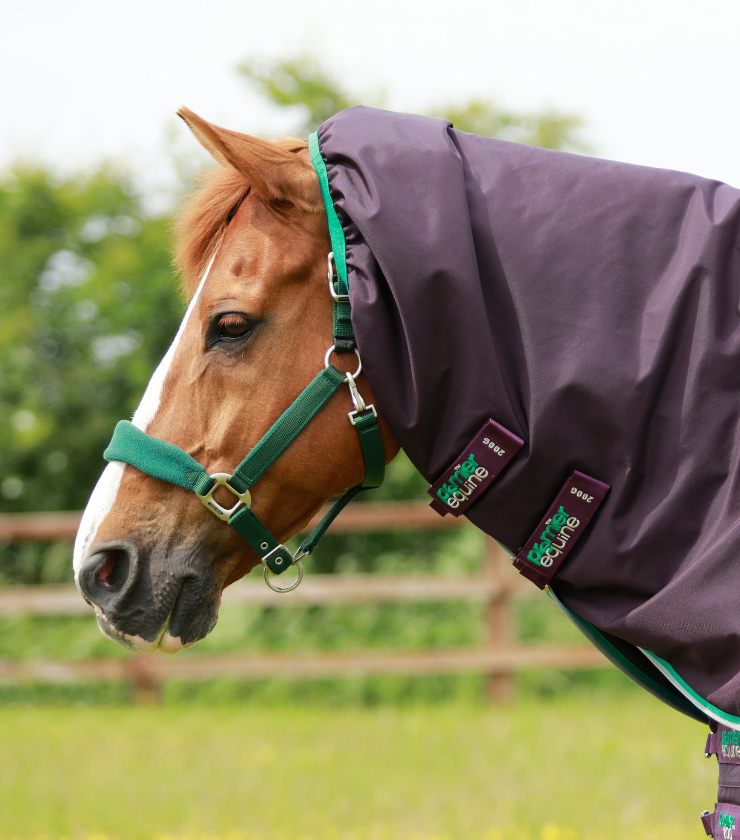 Premier Equine Buster 200g Turnout Rug with Snug-Fit Neck Cover image 6